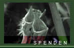 Spenden